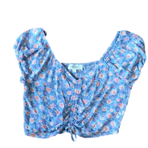 Pink Rose Blue Floral Crop Top